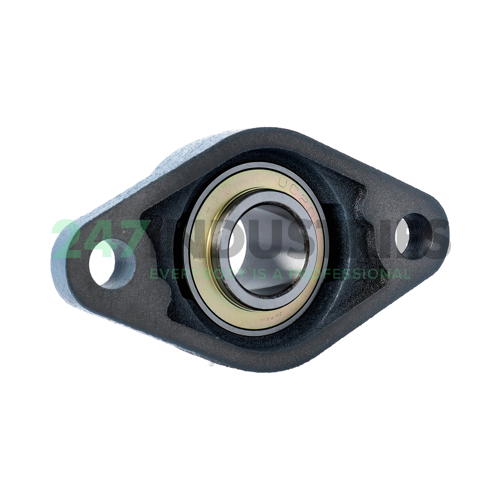 UCFL206 Asahi Image 2