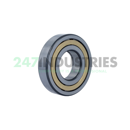 NUP313-E-XL-M1 FAG Image 2