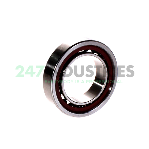 FD1008-K-T-P4S FAG Image 2