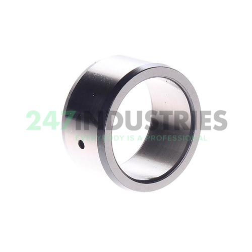 IR30X38X20-IS1-XL INA