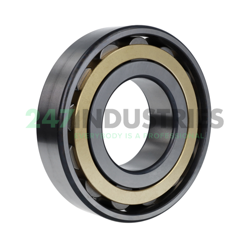 N316-E-M1 FAG Image 2