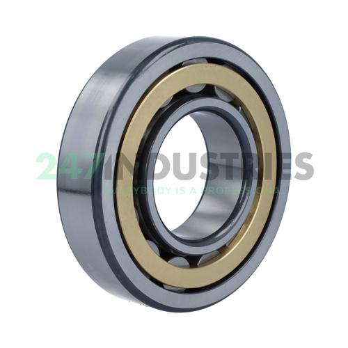 NU313-E-XL-M1 FAG Image 2