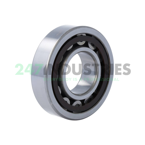 NU308ETC3 NSK Image 2