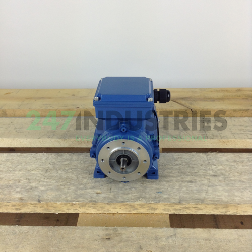 MS5624B34 Gibbons Image 4