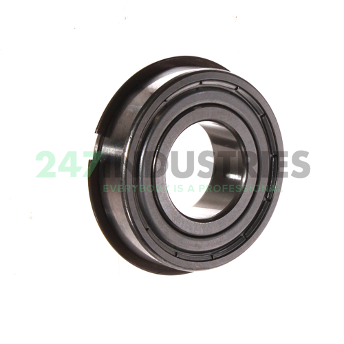 6004-2ZNR SKF Image 2