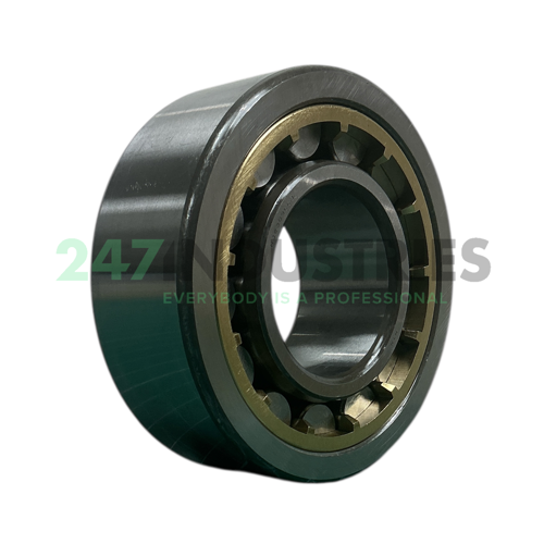 NJ2309EAG1C3 NTN Image 2