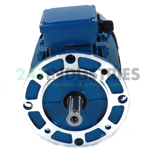 IE1-MSE100L1-4-B5R Cemp Image 3