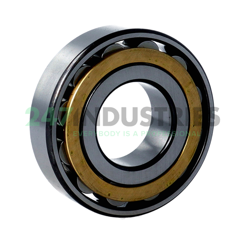 N308E.M1 FAG Image 2