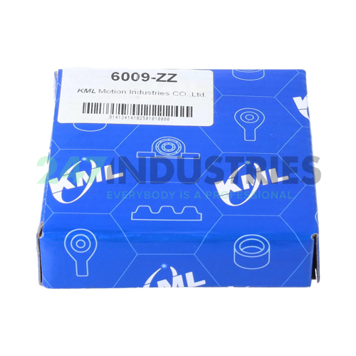 6009ZZ KML Image 3
