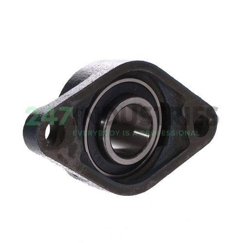 UCFL207 Asahi Image 3