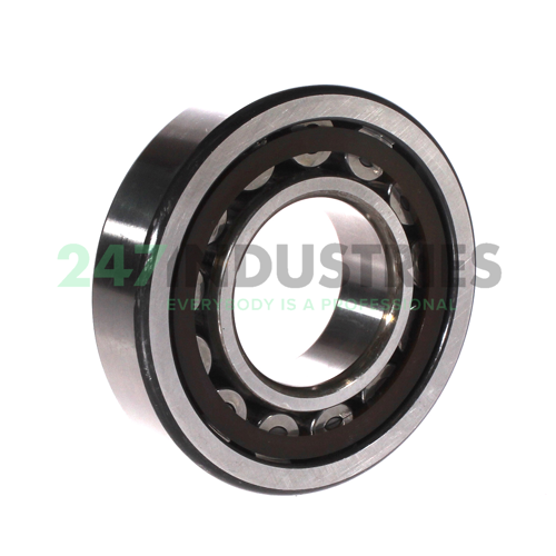 NU310ETC3 NSK Image 2