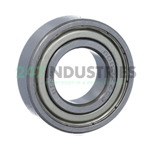 6003ZZ C3 Bing Netherlands