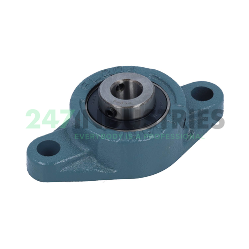 UCFL202 Asahi Image 3