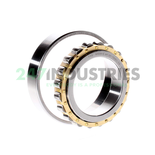 N1009-K-M1-SP-T50EC-C2 FAG Image 2