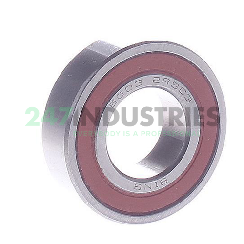 6003-2RS C3 Bing Netherlands