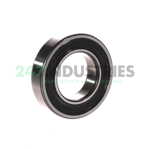 6006-RS1 SKF Image 2