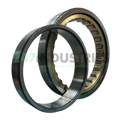 NU1048-M1-C3 FAG Image 2