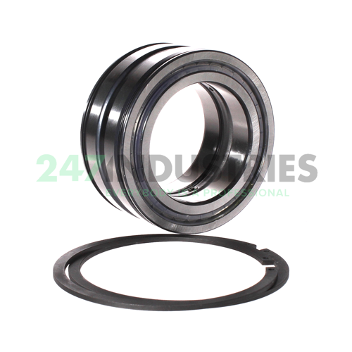 SL045013-PP-2NR-C3-L091 INA Image 3