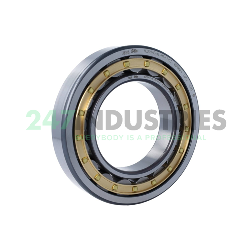 NU219-E-XL-M1-F1-C3 FAG