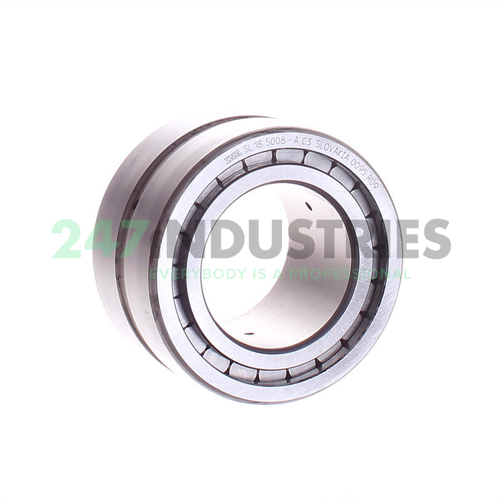 SL185008-A-C3 INA