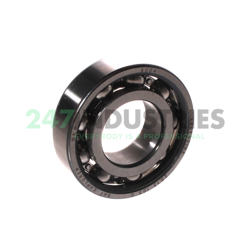 6004 SKF