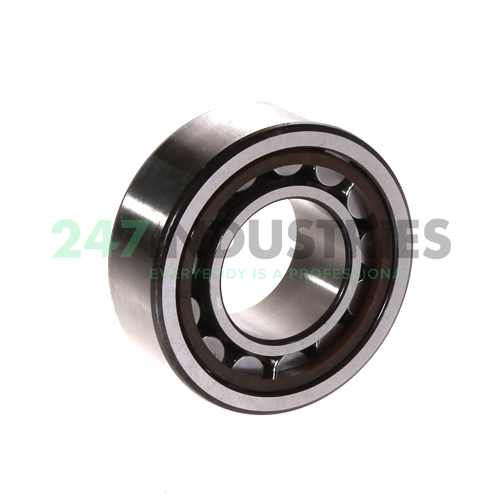 NU2205ECP/C3 SKF Image 3