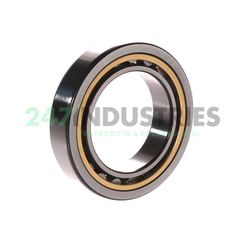 NU1010ML SKF Image 2