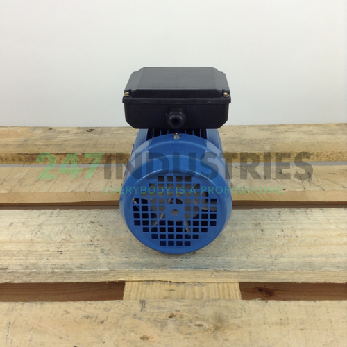 ML7114B34 Gibbons Image 5