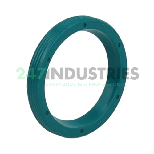 VG22X28X4 NAK Sealing Technologies