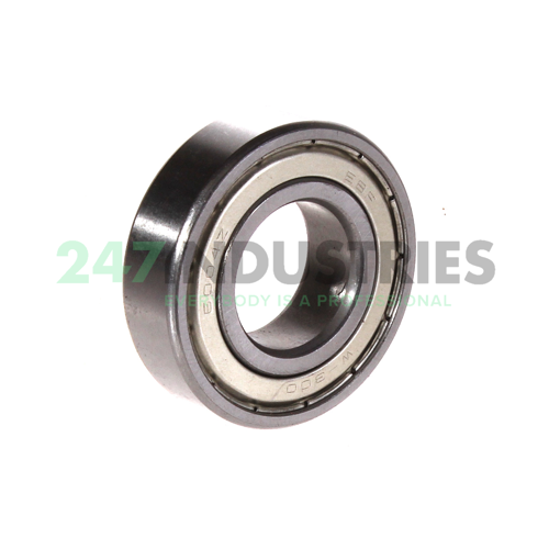 6004ZZ EBF