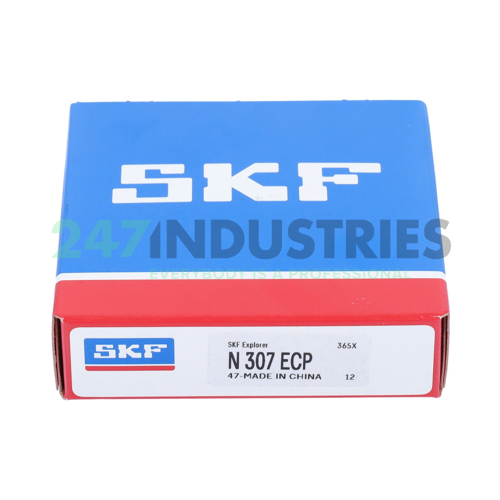 N307ECP SKF Image 2