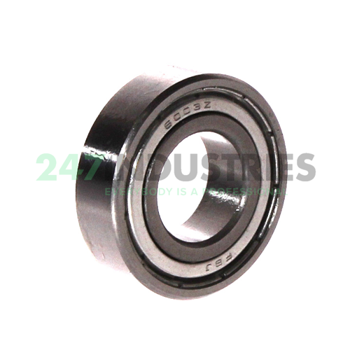 6003ZZ FBJ Image 2