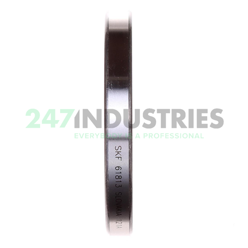 61813 SKF Image 2