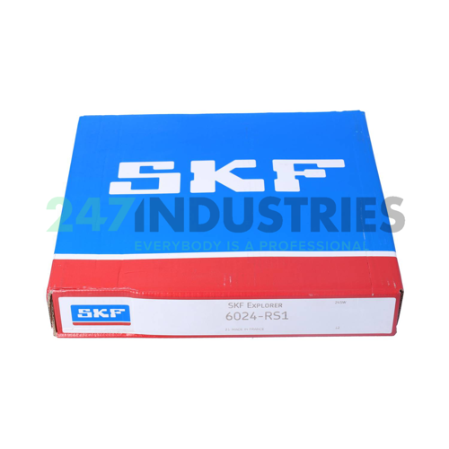 6024-RS1 SKF Image 3