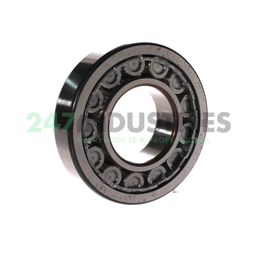 NU313ECJ/C3 SKF Image 2