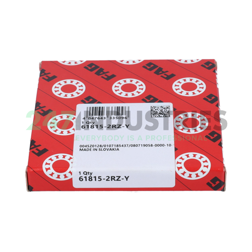 61815-2RZ-Y FAG Image 3