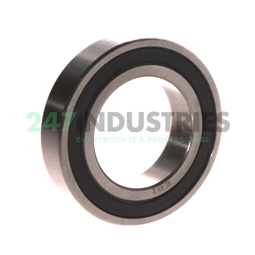 6008-2RS EBI Image 2