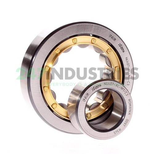 NU407-XL-M1-C3 FAG Image 2