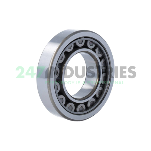 NU208EW C3 NSK Image 2