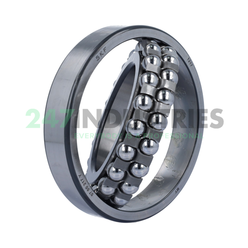 1217 SKF Image 2