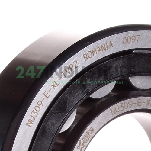 NU309-E-XL-TVP2 FAG Image 2