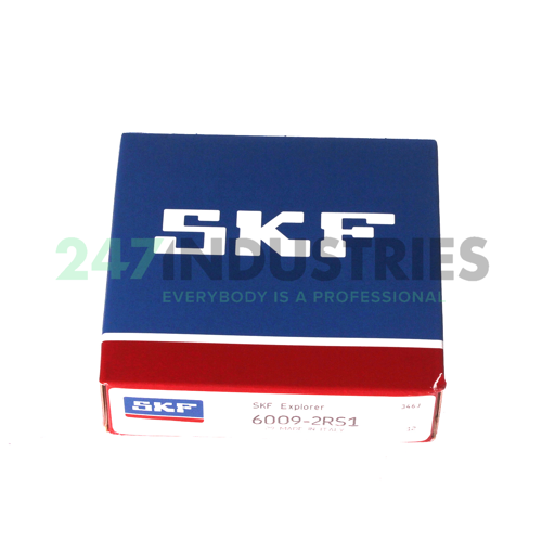 6009-2RS1 SKF Image 3