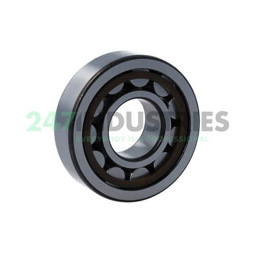 NJ305ECP/C4VQ015 SKF Image 2