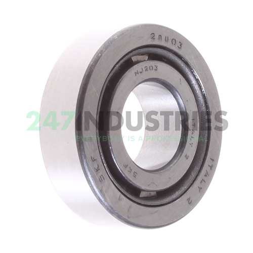 NJ203 SKF
