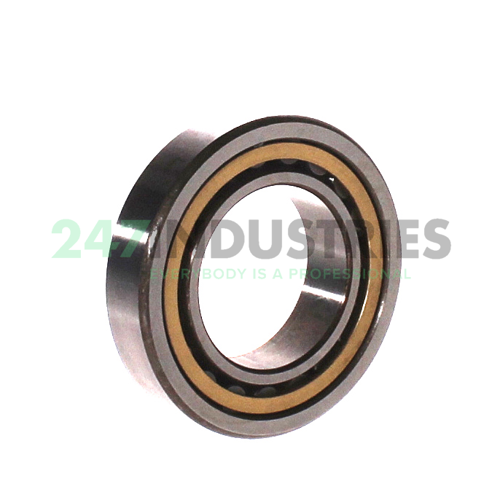 NU1007M C3 Rollway Image 2