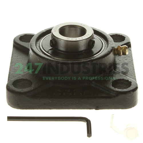 UCF203 Felstrom Image 2