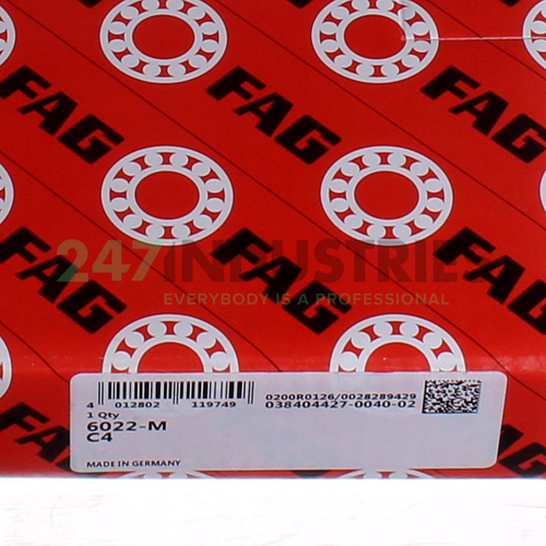 6022-M-C4 FAG Image 5