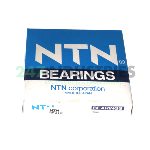 NF213 NTN Image 4