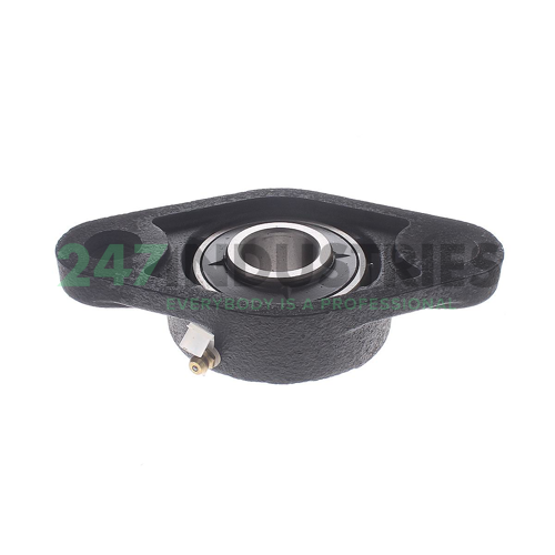 UCFL305 Felstrom Image 2