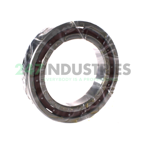 6017TCG12P4 NSK Image 2